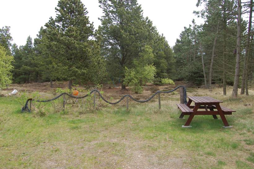 Foto von Ferienhaus QJ29 in Kromose - Rømø