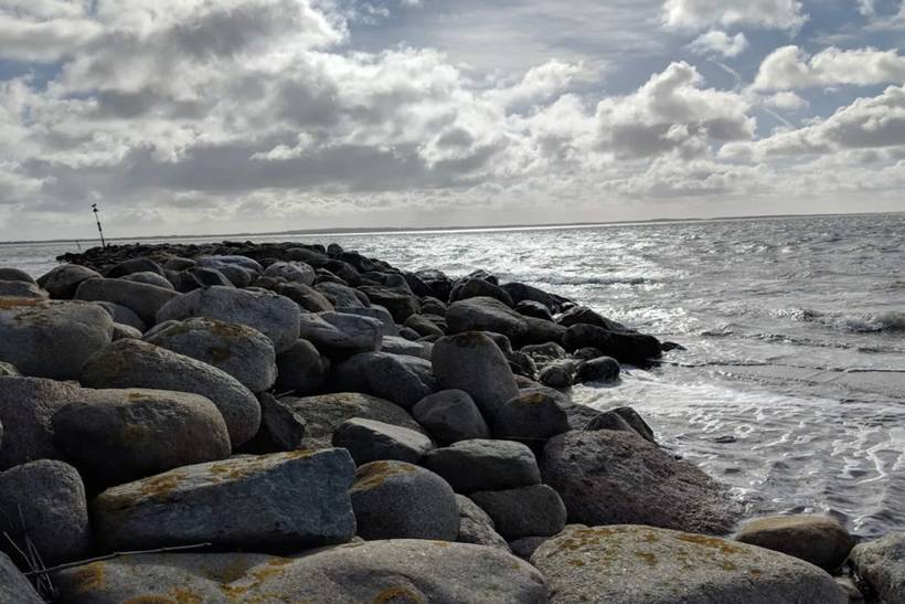 Foto von Ferienhaus QJ31 auf Sillerslev - Mors - Thy/Limfjord