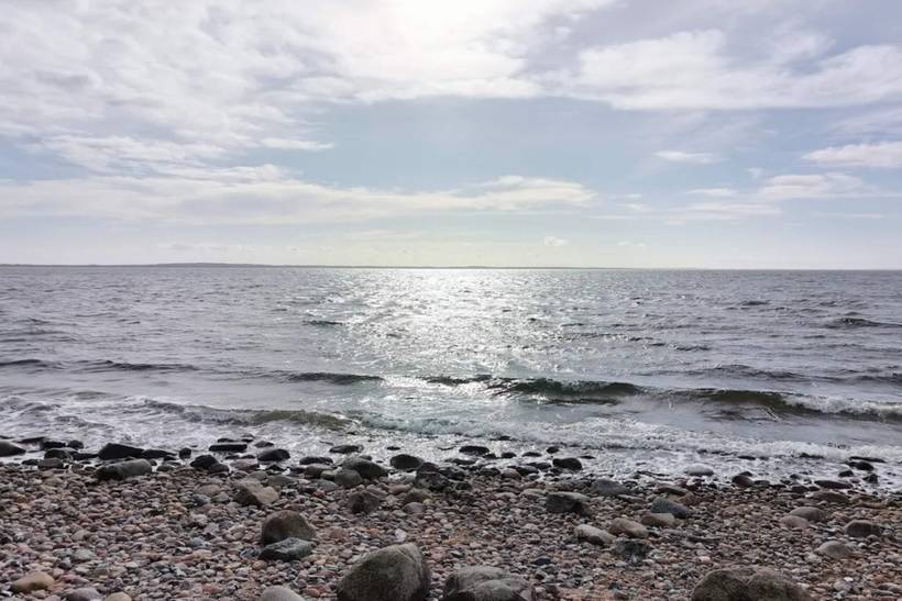 Foto von Ferienhaus QJ31 auf Sillerslev - Mors - Thy/Limfjord