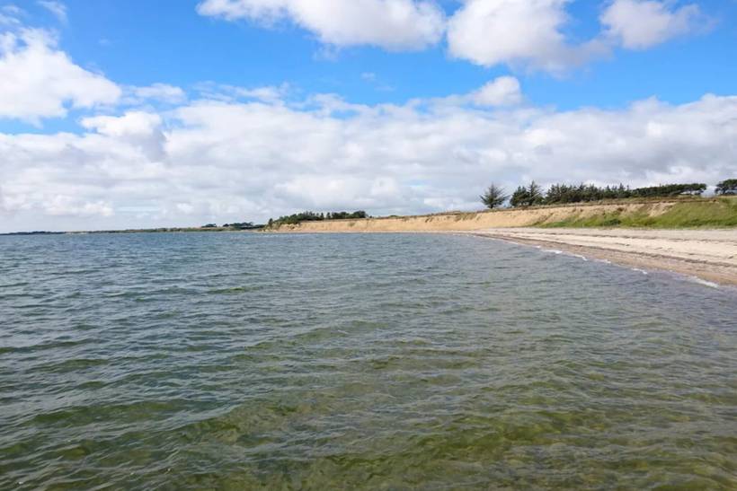 Foto von Ferienhaus QJ31 auf Sillerslev - Mors - Thy/Limfjord