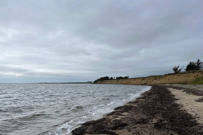 Foto von Ferienhaus QJ31 auf Sillerslev - Mors - Thy/Limfjord