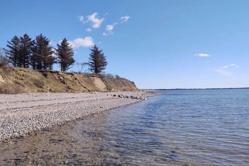 Foto von Ferienhaus QJ31 auf Sillerslev - Mors - Thy/Limfjord