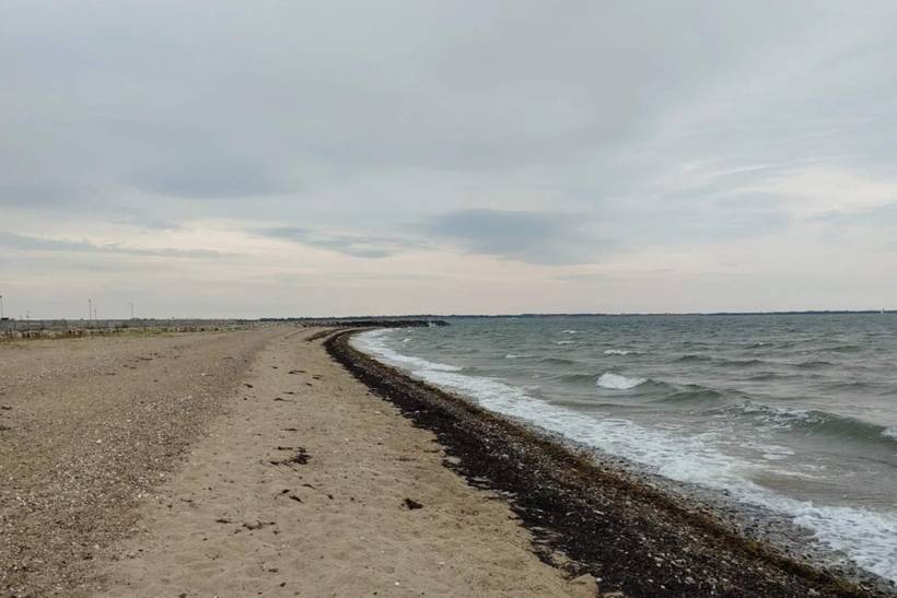 Foto von Ferienhaus QJ31 auf Sillerslev - Mors - Thy/Limfjord