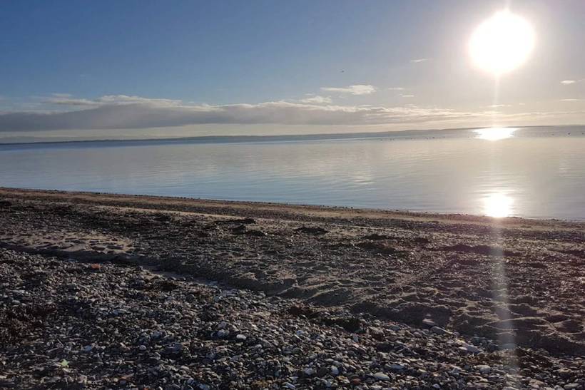 Foto von Ferienhaus QJ31 auf Sillerslev - Mors - Thy/Limfjord