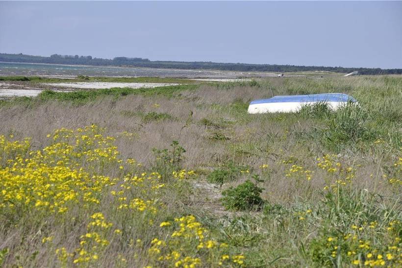 Foto von Ferienhaus QJ83 in Sejerø Bugt - Westseeland