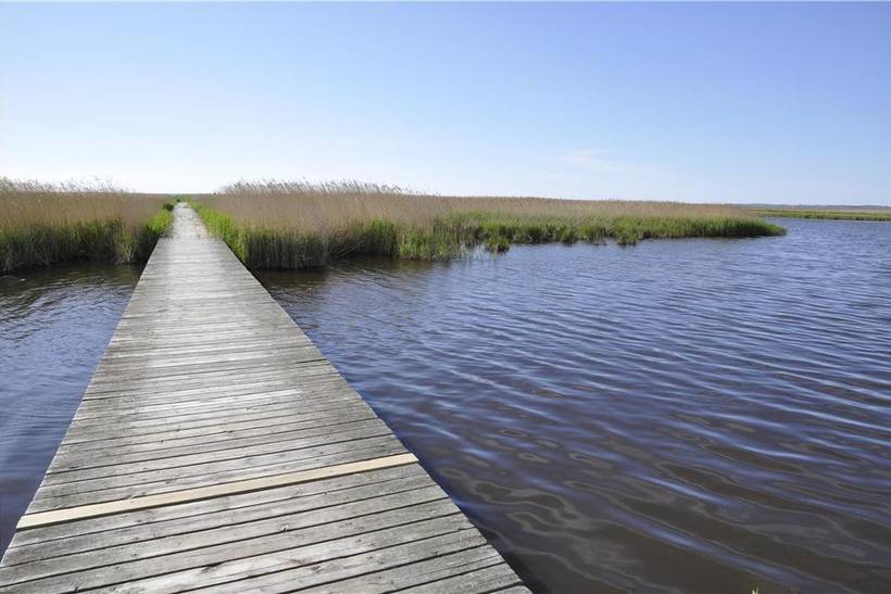 Foto von Ferienhaus QJ83 in Sejerø Bugt - Westseeland