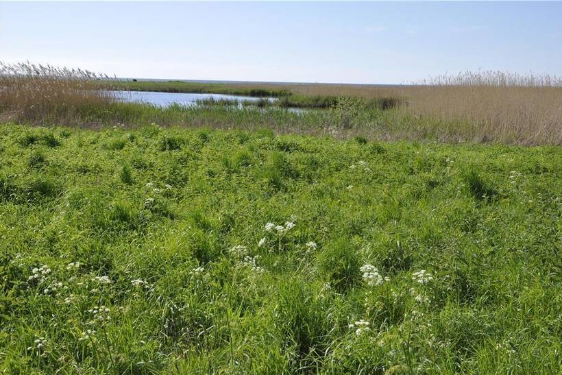 Foto von Ferienhaus QJ83 in Sejerø Bugt - Westseeland