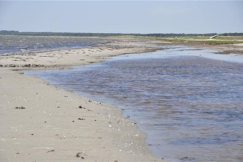 Foto von Ferienhaus QJ83 in Sejerø Bugt - Westseeland