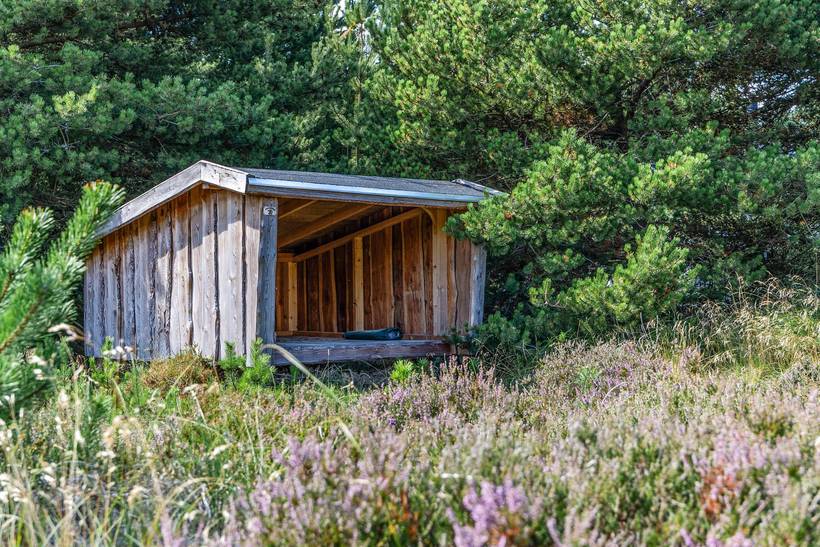 Foto von Ferienhaus QK27 in Blåvand - Westjütland