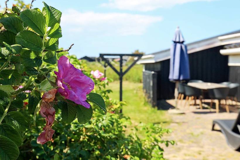 Foto von Ferienhaus QK50 in Løkken - Nordjütland
