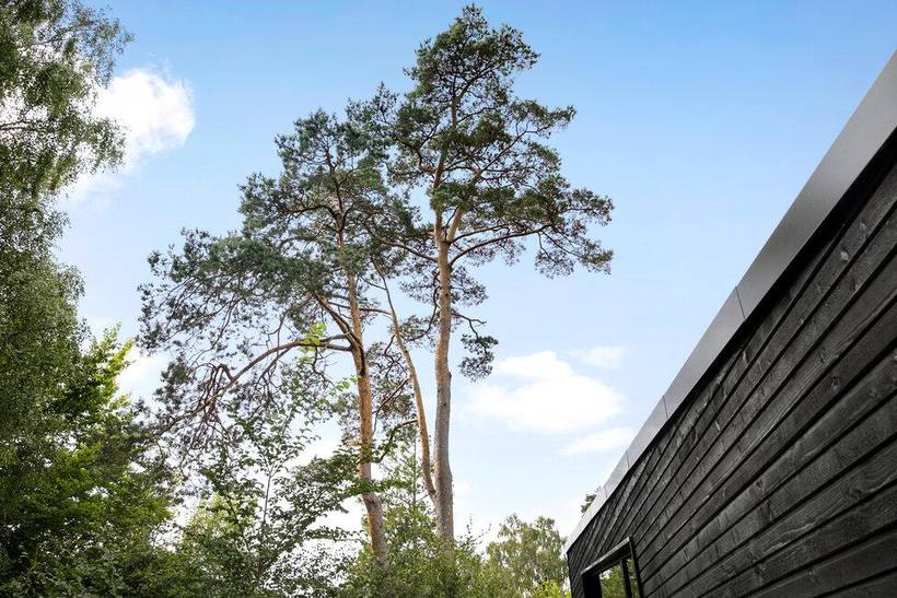 Foto von Ferienhaus QK69 in Hornbæk - Nordseeland