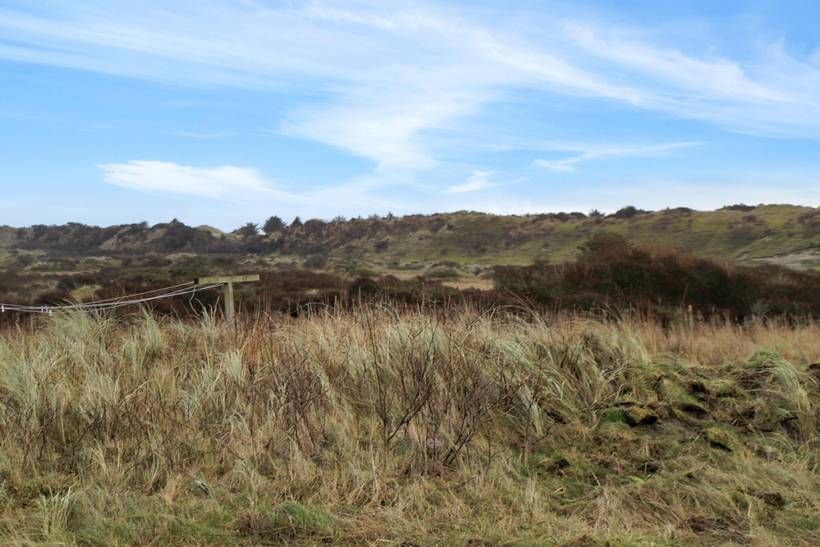 Foto von Ferienhaus QL79 in Nørlev - Lønstrup - Nordjütland