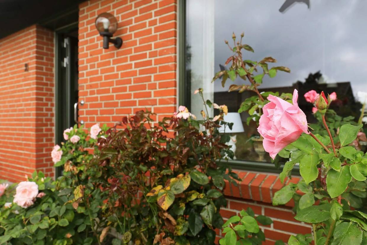 Foto von Ferienhaus QM43 in Ærøskøbing - Ærø