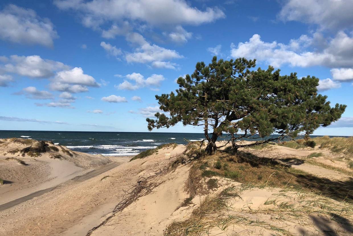 Foto von Ferienhaus QM56 in Liseleje - Nordseeland