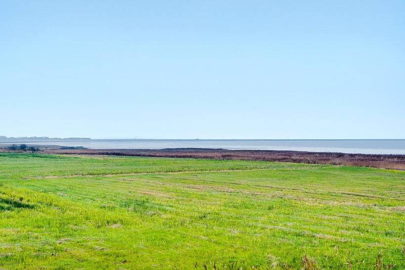 Foto von Ferienhaus QM79 in Kongsmark - Rømø