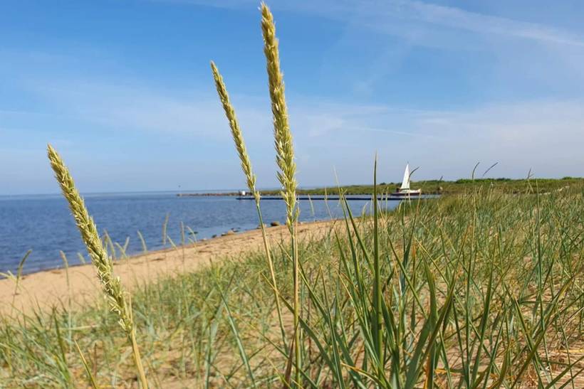 Foto von Ferienhaus QN19 in Skaven - Westjütland