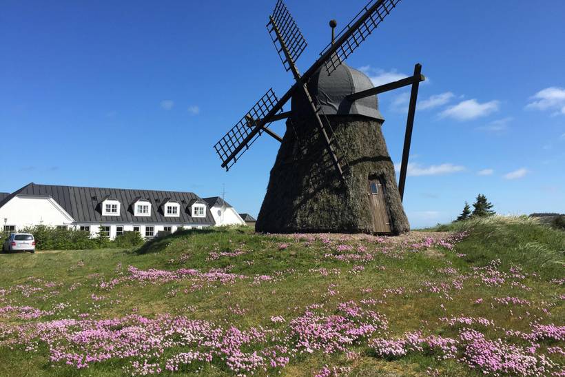 Foto von Ferienhaus QN38 in Slettestrand - Nordjütland