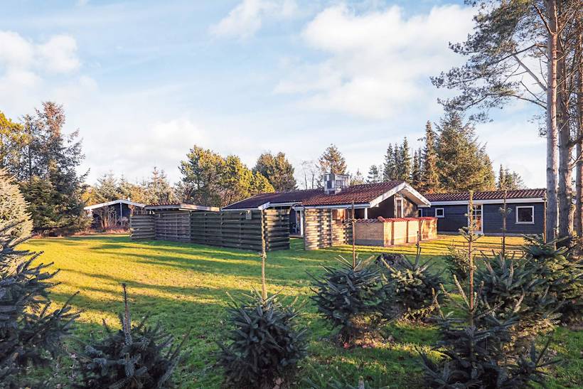 Foto von Ferienhaus QO60 in Bisnap - Hou - Nordjütland Ost