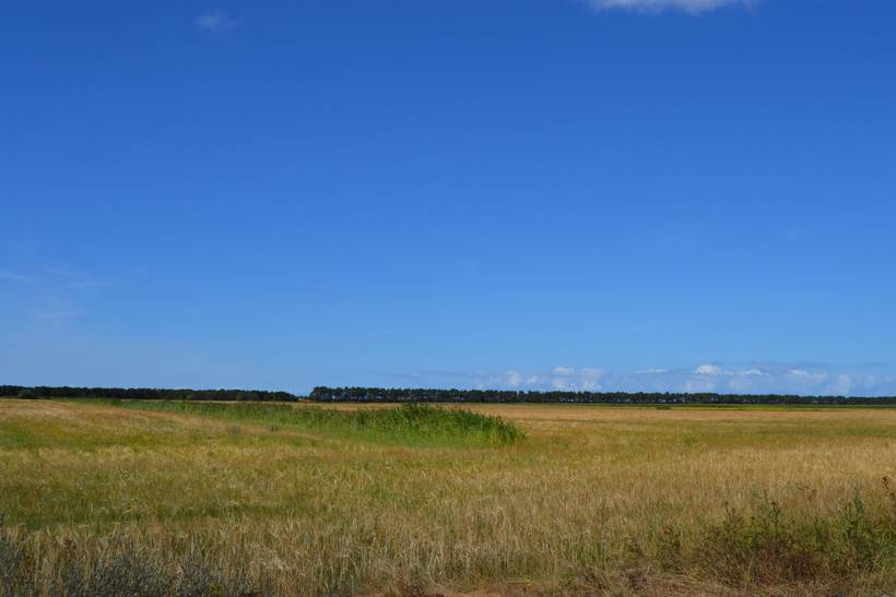 Foto von Ferienhaus QP40 in Sønderstrand - Rømø