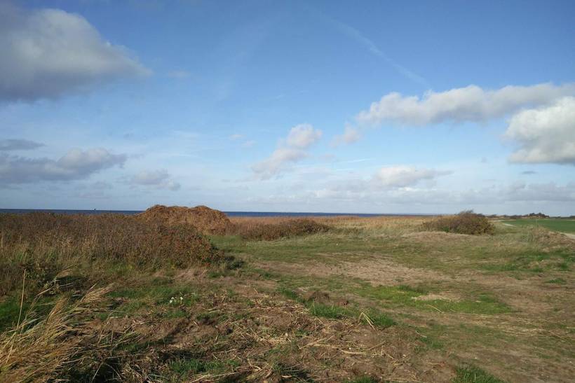 Foto von Ferienhaus QP46 in Bork Havn - Westjütland