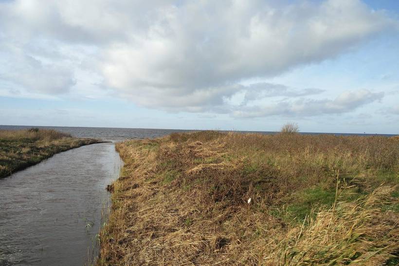 Foto von Ferienhaus QP46 in Bork Havn - Westjütland