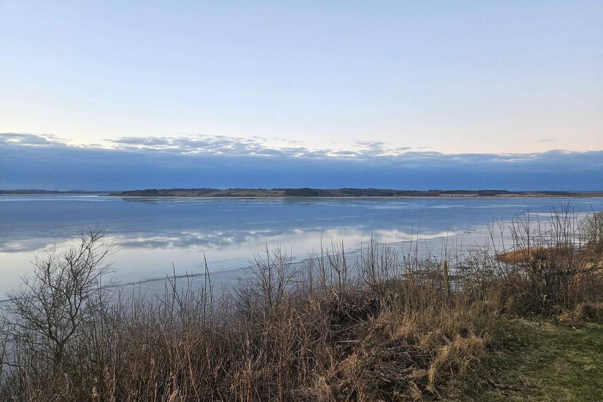 Foto von Ferienhaus QP59 in Hjarbæk - Thy/Limfjord