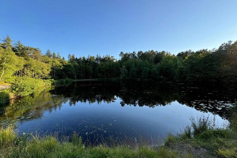 Foto von Ferienhaus QP92 in Tversted - Nordjütland
