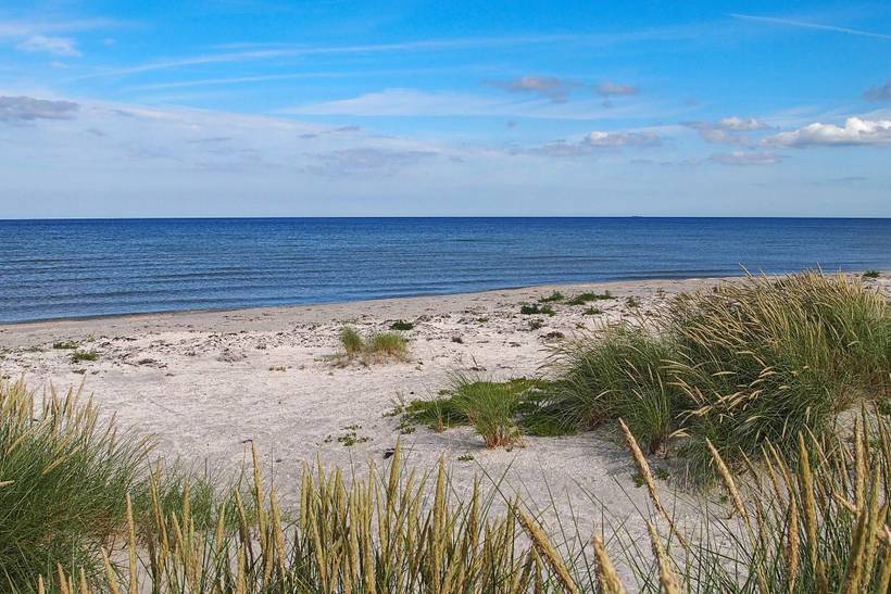 Foto von Ferienhaus QQ04 in Nordmarken - Læsø