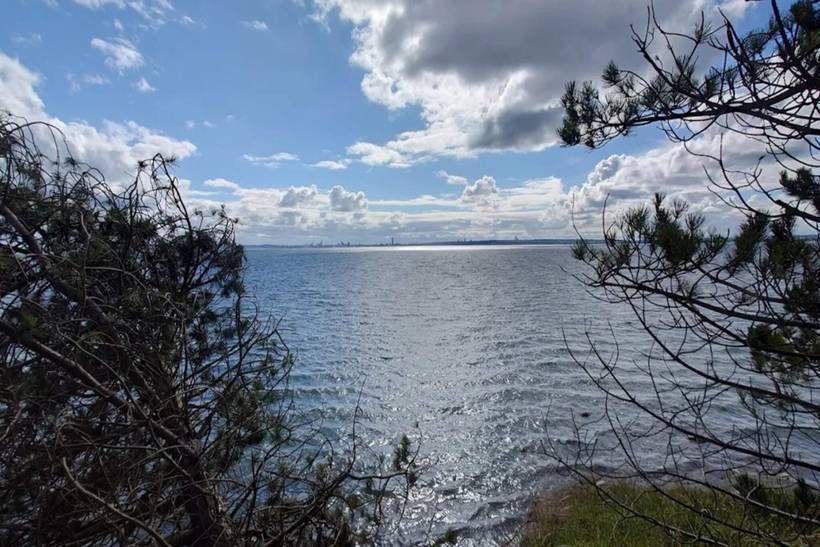 Foto von Ferienhaus QQ06 in Dejret - Mols - Ostjütland
