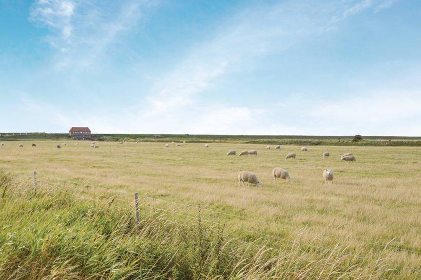 Foto von Ferienhaus QQ28 in Ballum - Südjütland