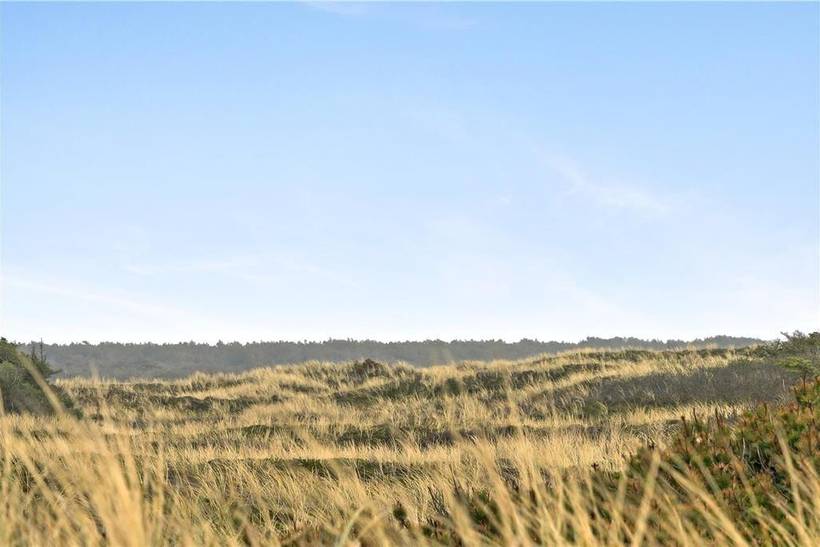 Foto von Ferienhaus QQ30 in Bjerghuse - Fjand - Westjütland