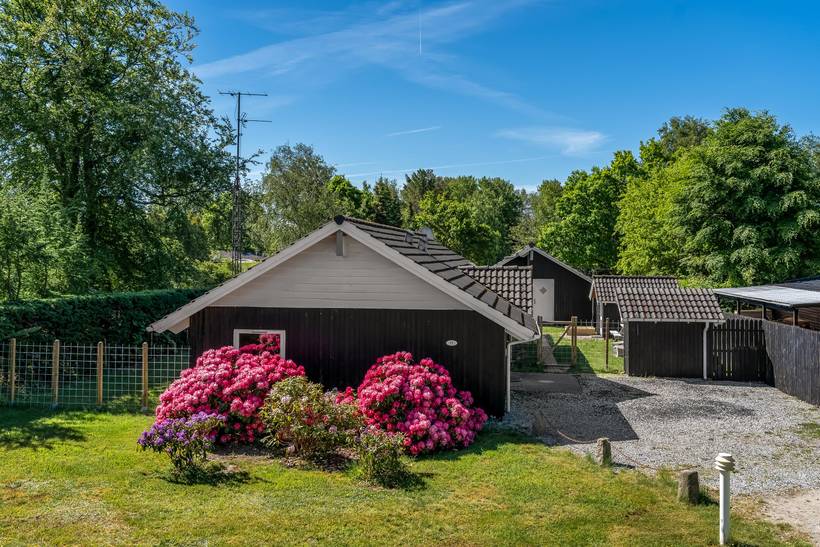 Foto von Ferienhaus QQ35 in Egense - Nordjütland Ost