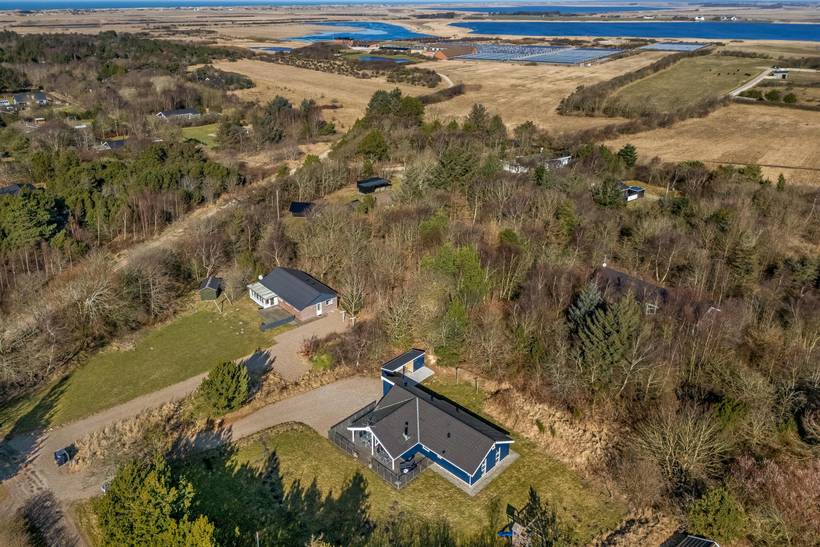 Foto von Ferienhaus QQ82 in Lodbjerg Hede - Søndervig - Westjütland