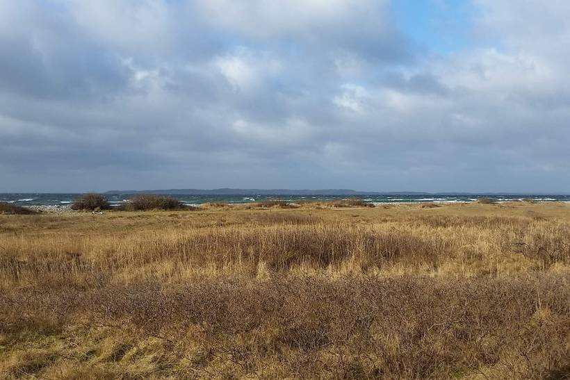 Foto von Ferienhaus QR52 in Ahl - Ebeltoft - Ostjütland