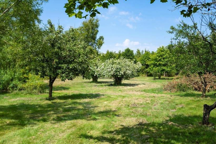 Foto von Ferienhaus QS00 in Vemb - Westjütland