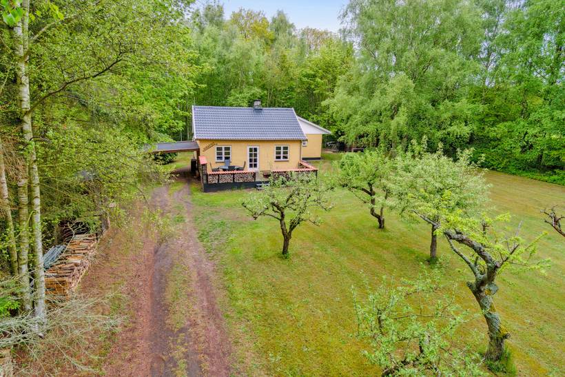 Foto von Ferienhaus QS11 in Hasle - Bornholm