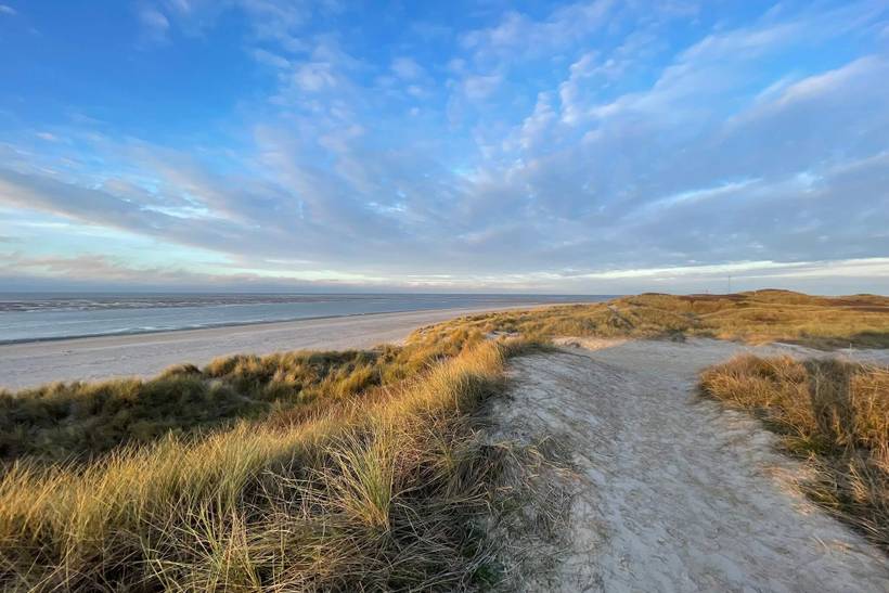 Foto von Ferienhaus QT21 in Blåvand - Westjütland