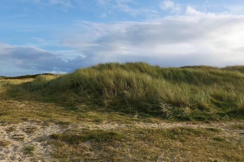 Foto von Ferienhaus QT21 in Blåvand - Westjütland