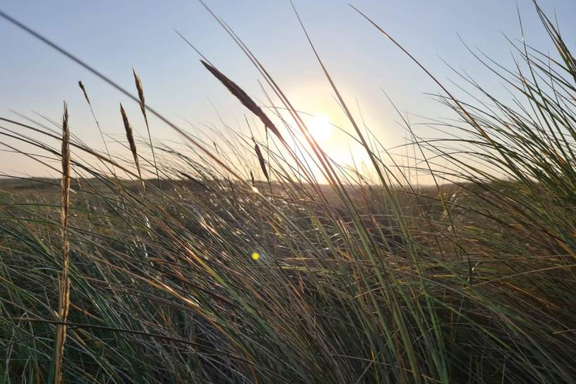 Foto von Ferienhaus QT21 in Blåvand - Westjütland
