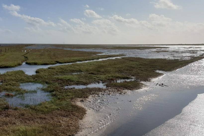 Foto von Ferienhaus QT21 in Blåvand - Westjütland