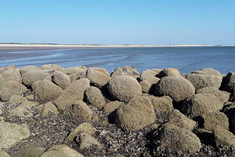 Foto von Ferienhaus QT21 in Blåvand - Westjütland