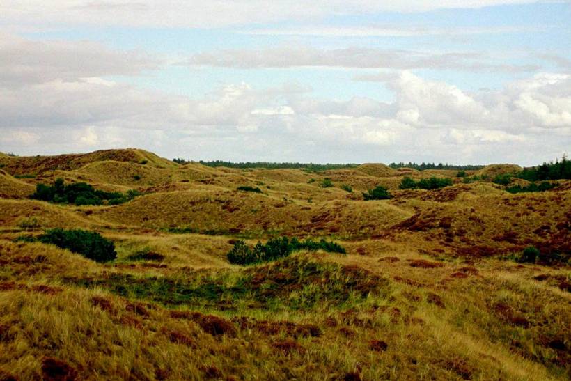 Foto von Ferienhaus QT21 in Blåvand - Westjütland