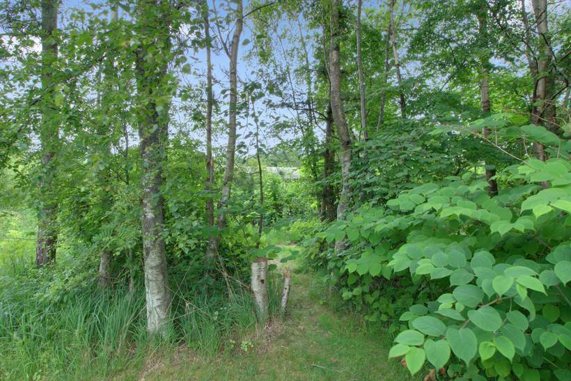 Foto von Ferienhaus QT24 in Hou - Nordjütland Ost