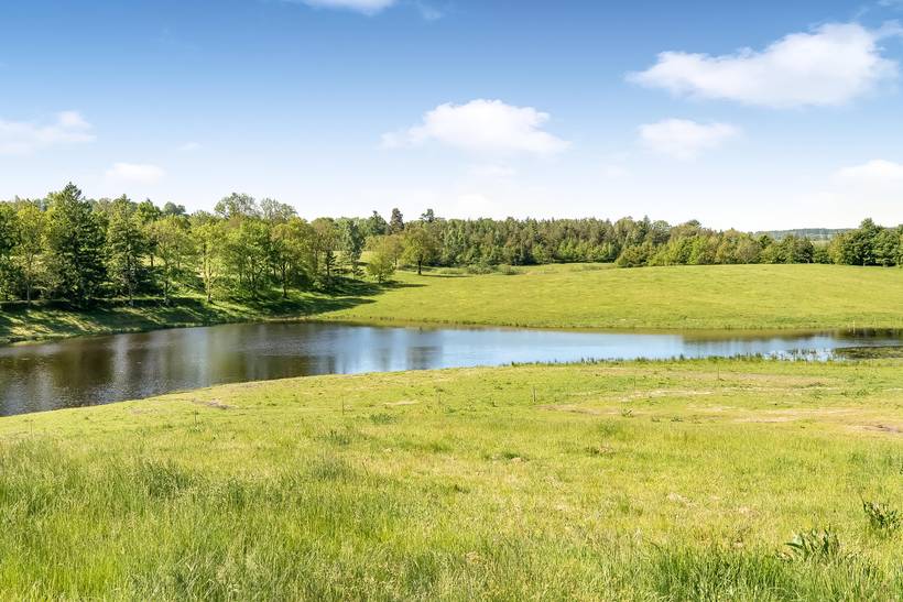 Foto von Ferienhaus QT82 in Randbøldal - Ostjütland