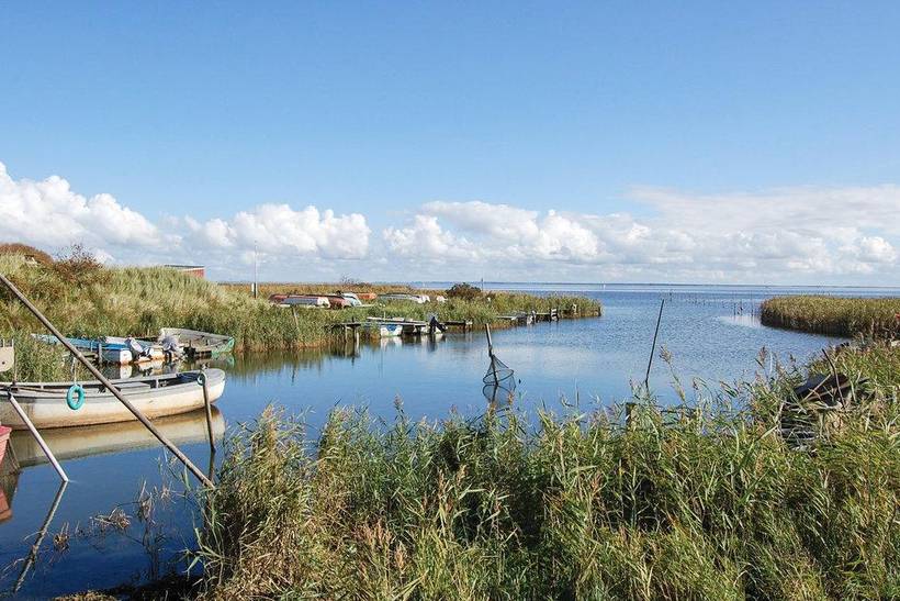 Foto von Ferienhaus QU13 in Årgab - Westjütland