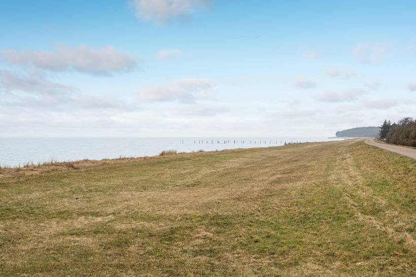 Foto von Ferienhaus QU46 auf Dannemare - Lolland