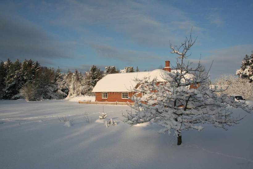 Foto von Ferienhaus QU62 in Vester Husby - Westjütland