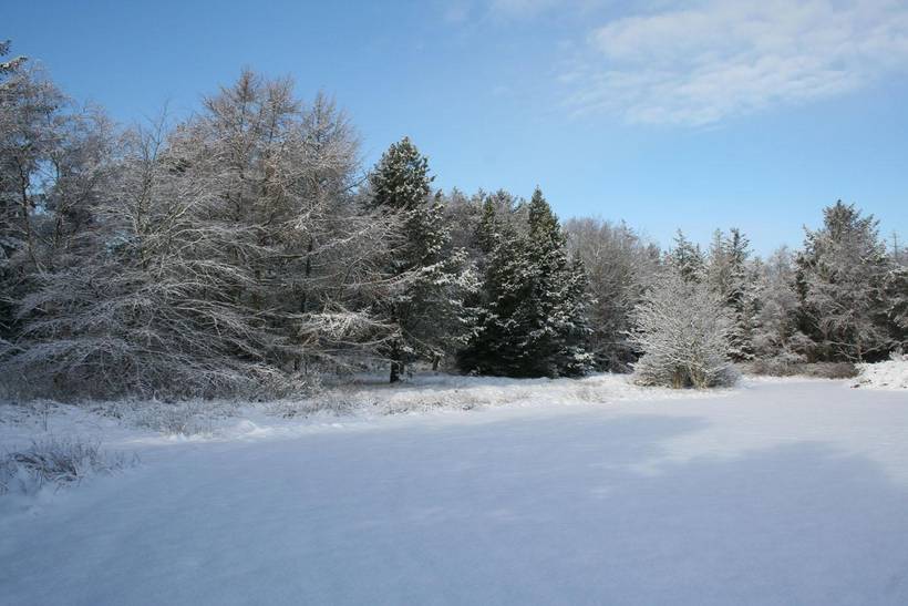 Foto von Ferienhaus QU62 in Vester Husby - Westjütland