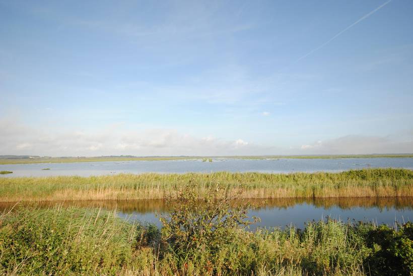 Foto von Ferienhaus QV07 in Øsløs - Thy/Limfjord