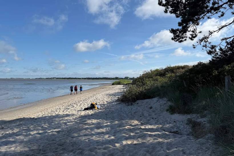 Foto von Ferienhaus QV11 in Kongsmark - Rømø